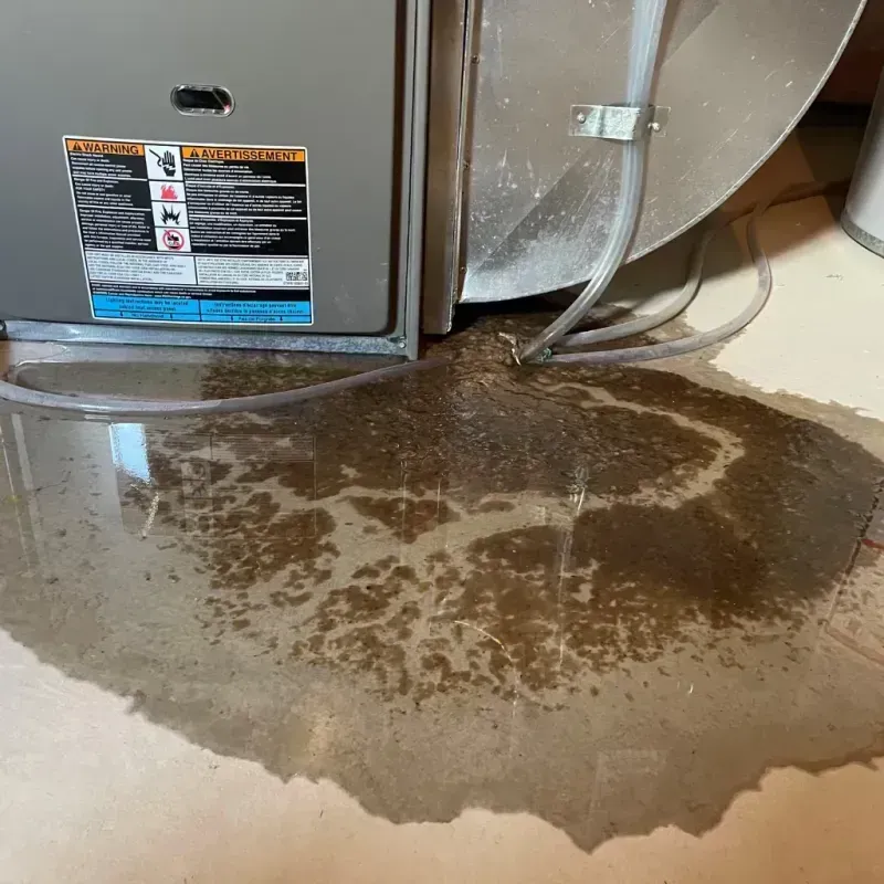 Appliance Leak Cleanup in Warren County, OH